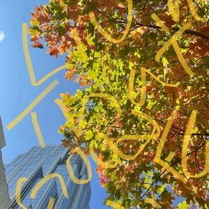 Meet your Posher, Adolfo